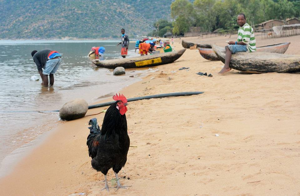 19225162_10155437747427774_6479167956672779426_n