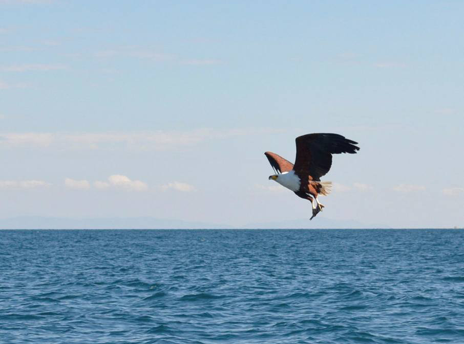 19225898_10155437747552774_229259779703527452_n-v2