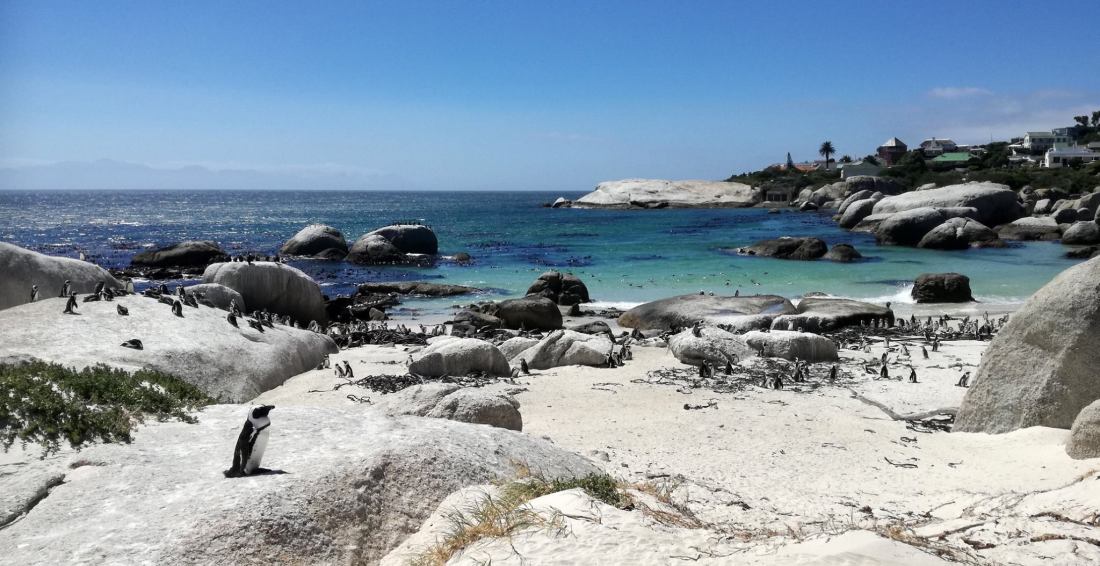 49638342_10156968067317774_6260007575148822528_o